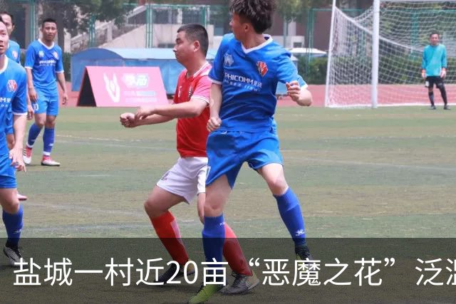 盐城一村近20亩“恶魔之花”泛滥成灾，这独特的风景为何无人管？